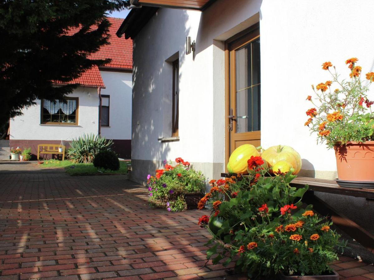 Ferienhaus Christine Schenkendobern Exterior foto